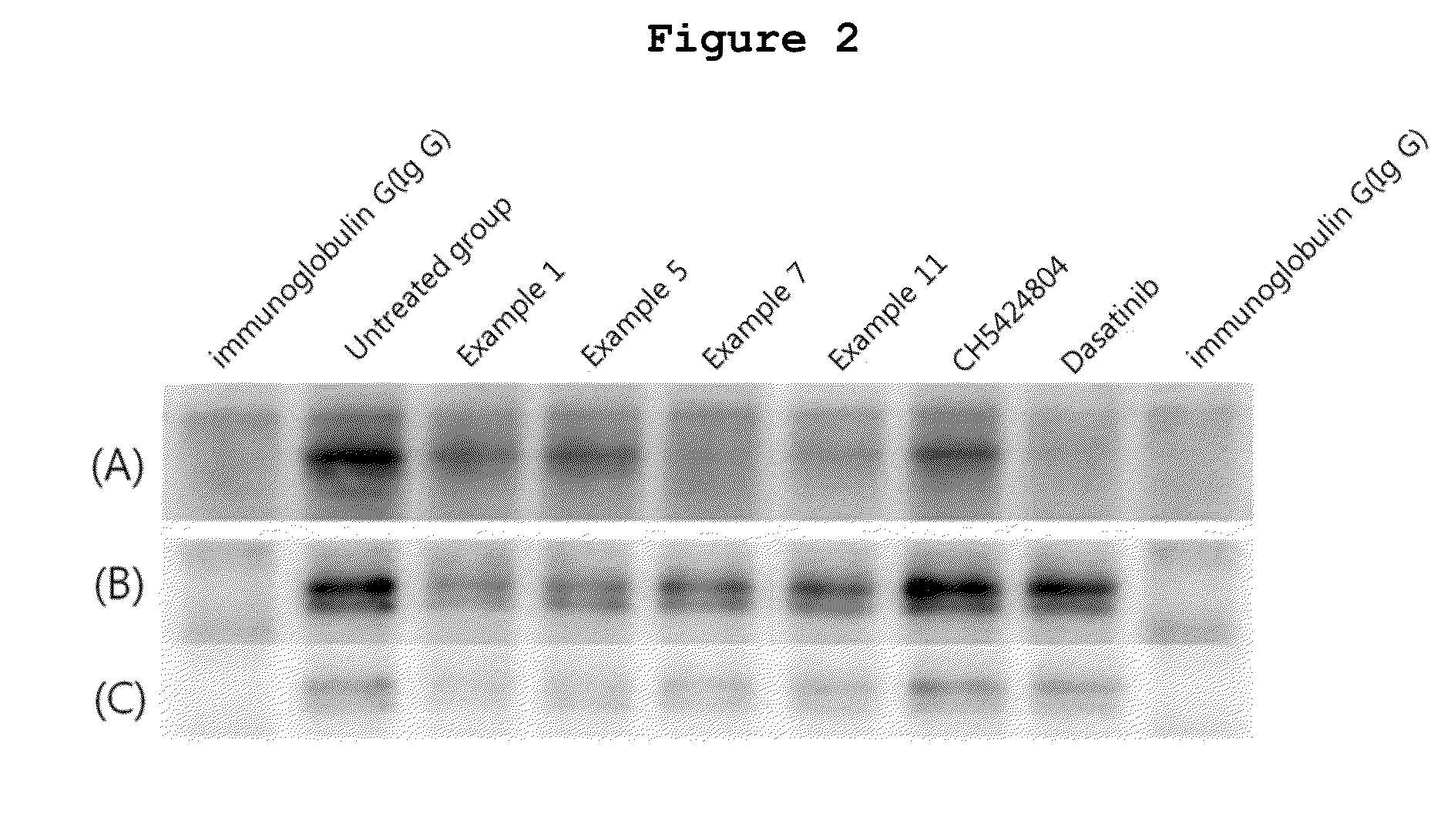 N2,N4-bis(4-(piperazine-1-yl)phenyl)pirimidine-2,4-diamine derivative or pharmaceutically acceptable salt thereof, and composition containing same as active ingredient for preventing or treating cancer