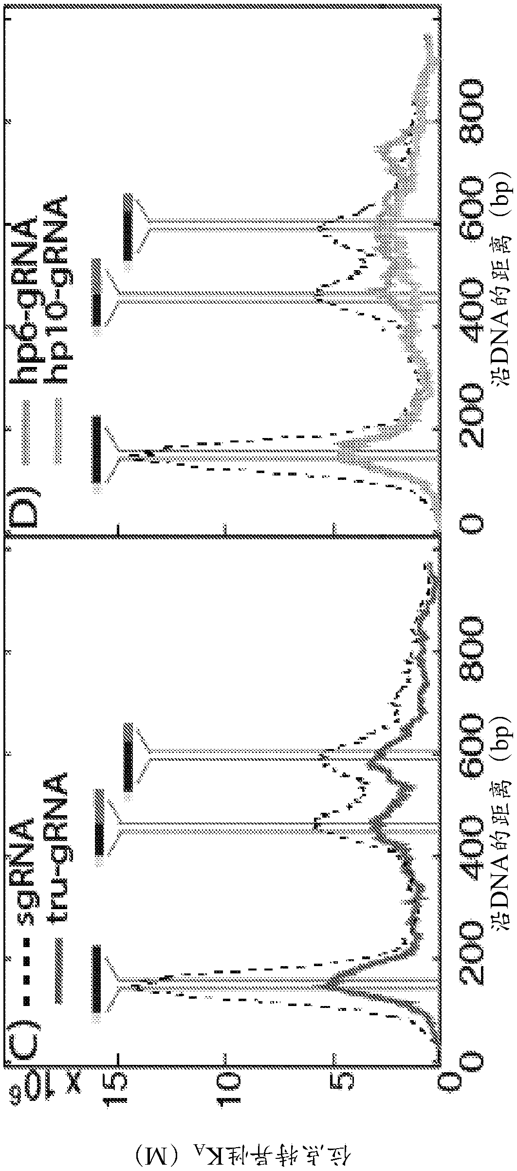 Compositions and methods of improving specificity in genomic engineering using rna-guided endonucleases