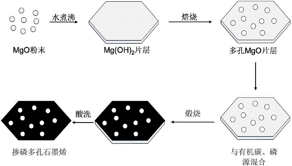 Phosphorus-doped porous graphene, preparation method thereof and method for catalyzing oxidation of benzylamine