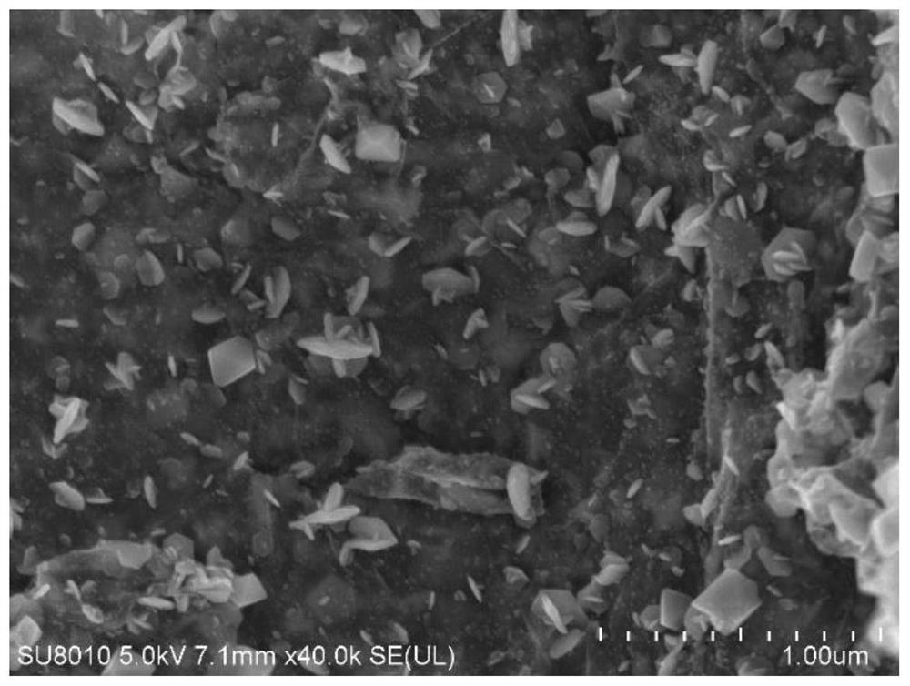 A kind of electrostatic self-assembly three-dimensional flower-like cobalt disulfide/rgo composite material and its preparation method and application