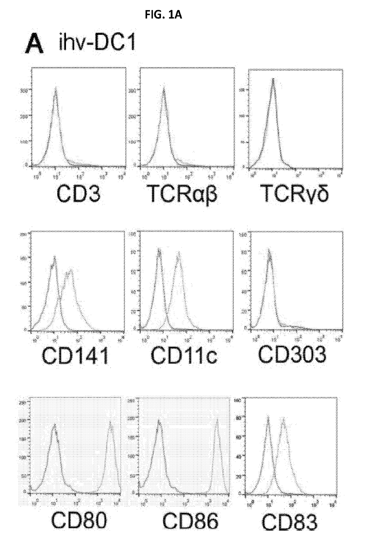 Methods for generating engineered human primary blood dendritic cell lines