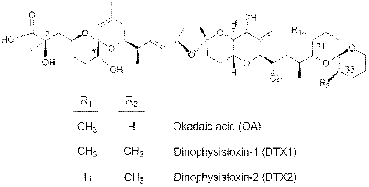 Diarrhetic shellfish poison standard sample as well as preparation method and application thereof