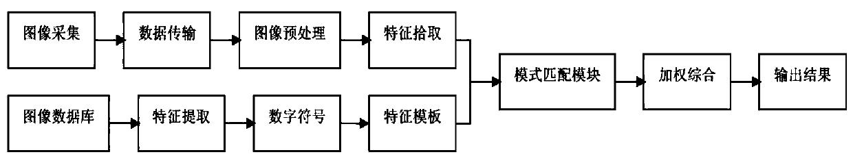 Small mammal (rat) intelligent identification system