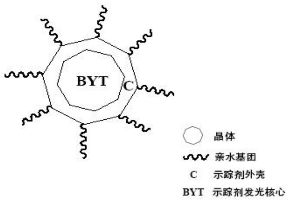 Synthesis method and application of "byt tracer"