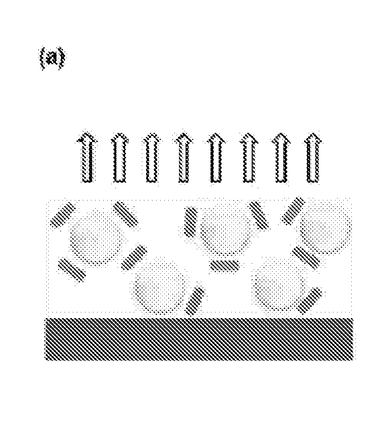 Light conversion light-emitting device with enhanced light luminescence efficiency using anisotropic metal nanoparticles