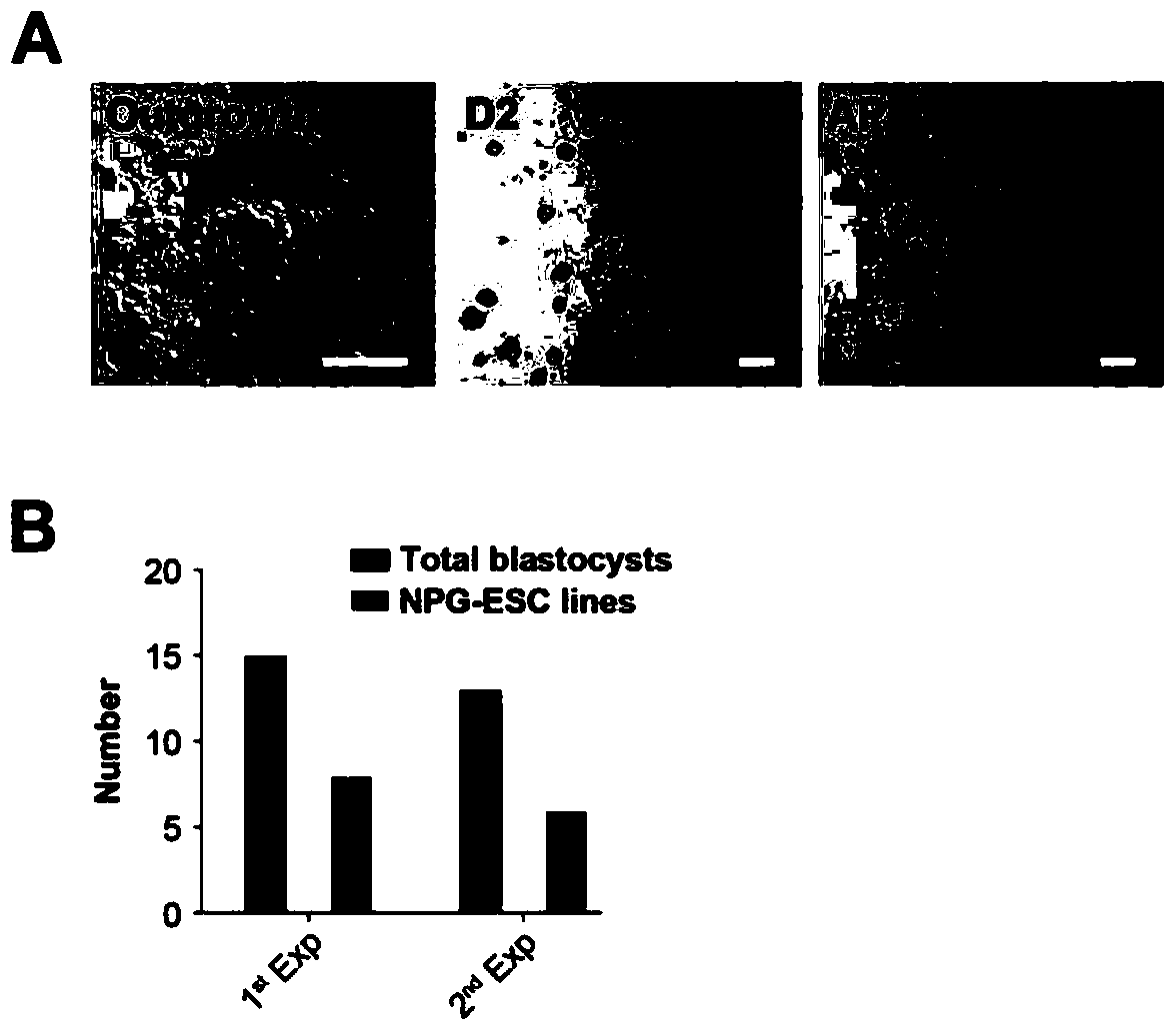 Composition, method, kit and use thereof for preparing pluripotent stem cells