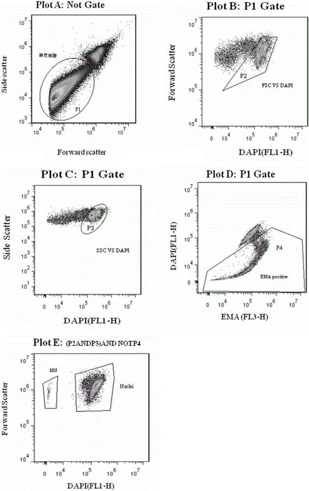 Peripheral blood lymphocyte micronucleus detection kit and detection method thereof
