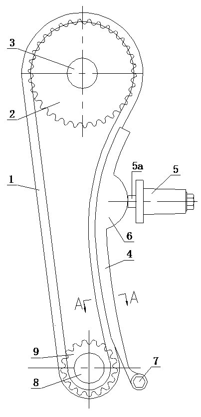 Timing drive mechanism for motorcycle engine