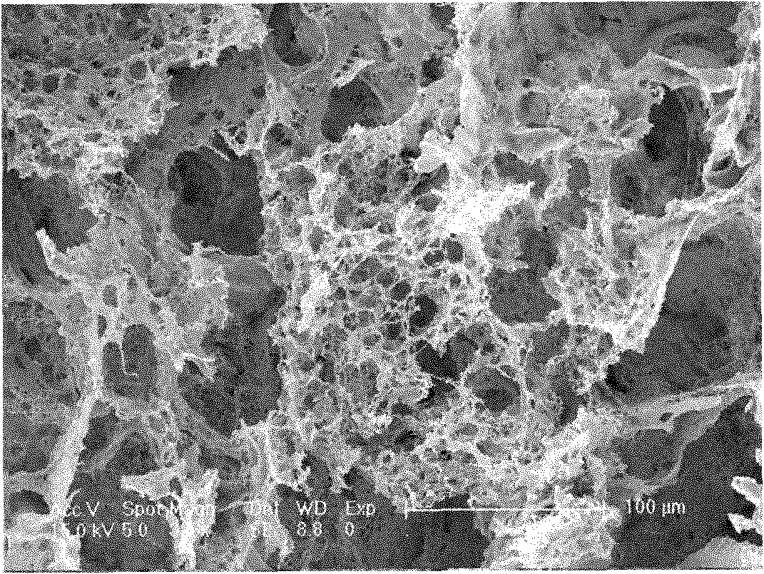 Preparation method for tissue engineering scaffold material