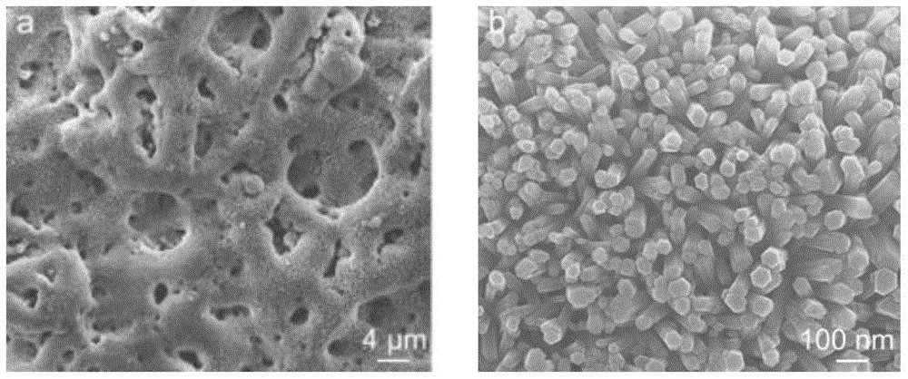 Titanium-based surface antibacterial and bone tissue regeneration-inducing functional coating and its preparation method and application