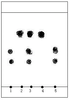 A kind of detection method of sare thirteen flavor penniao preparation