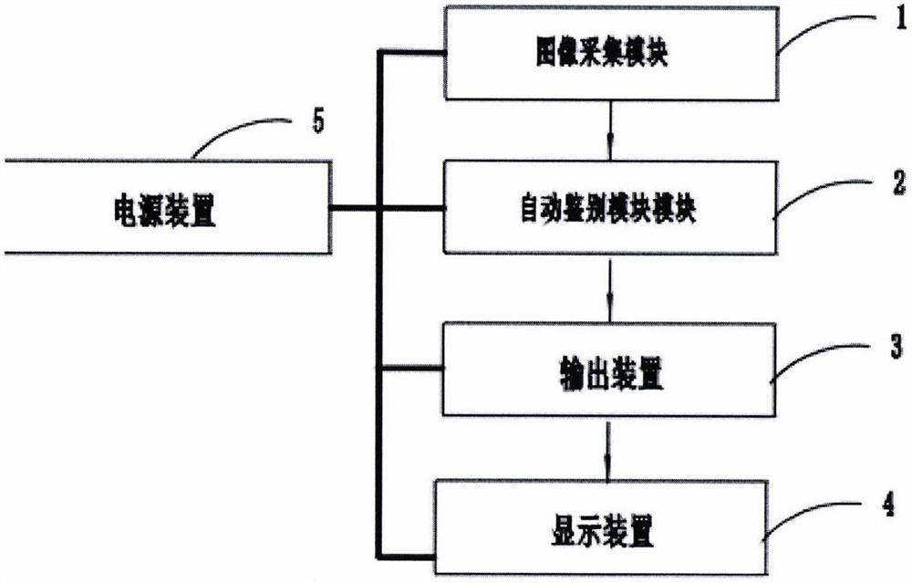 Diabetic nephropathy-non-diabetic nephropathy differential diagnosis device based on fundus images