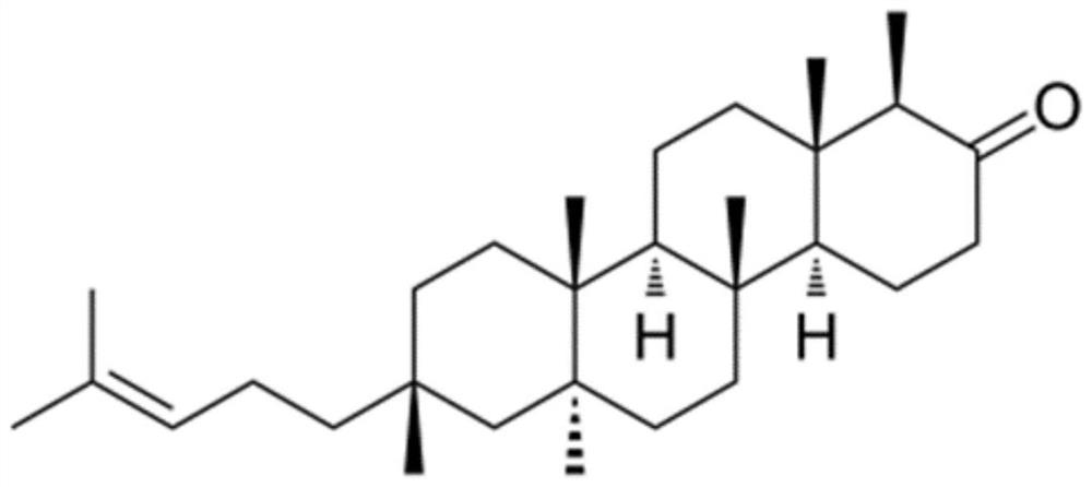 Application of shionone in preparation of medicine for treating cerebral arterial thrombosis