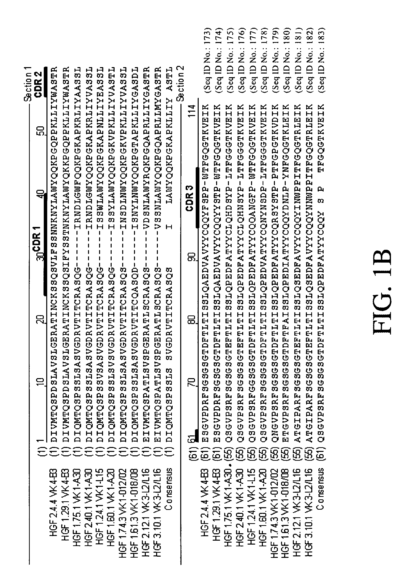 Specific binding agents to hepatocyte growth factor