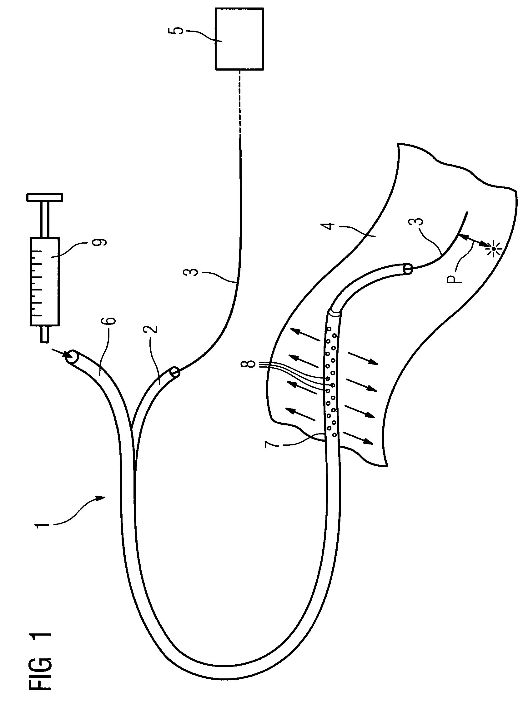 Method of recording two-dimensional images of a perfused blood vessel