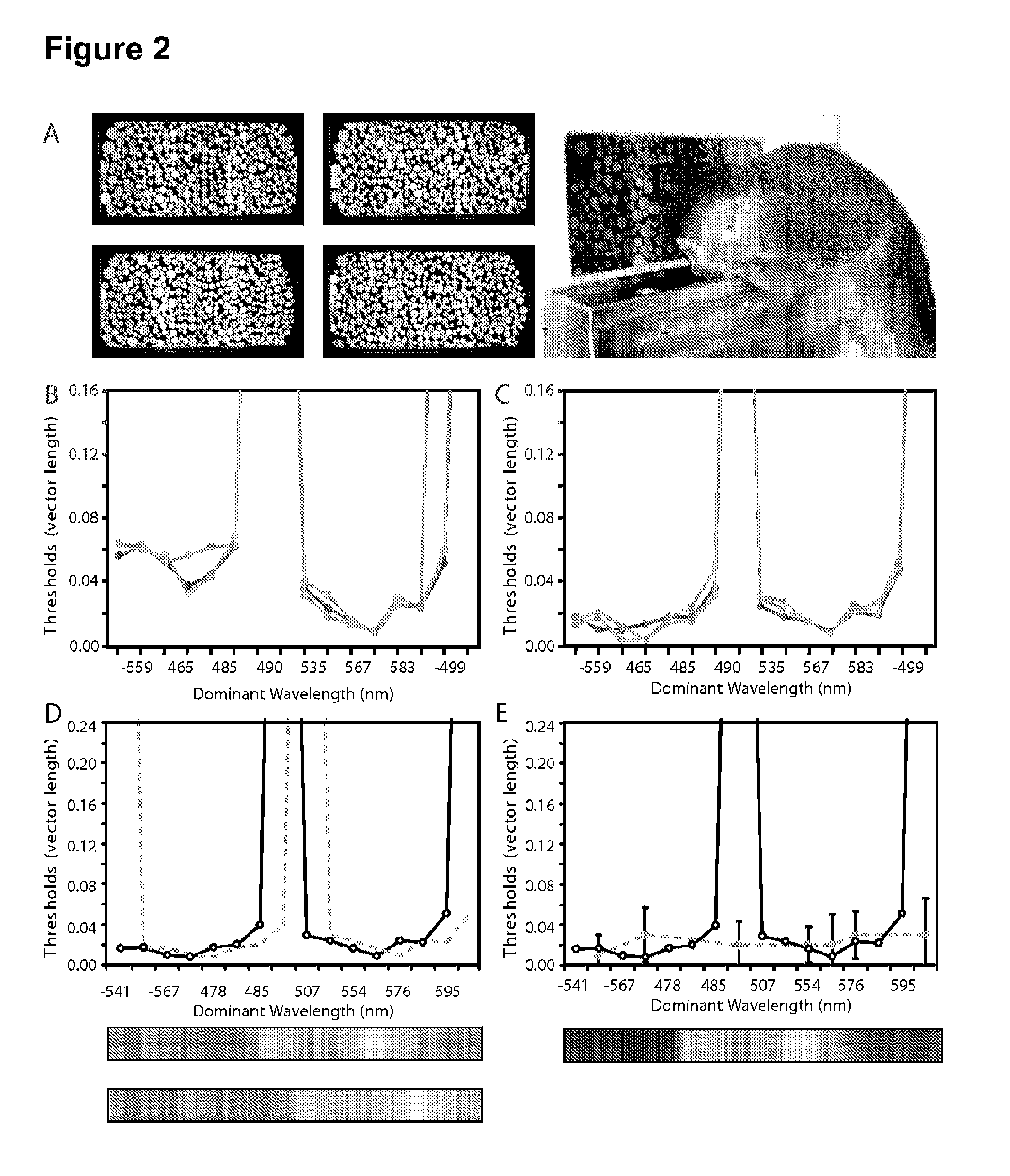 Reagents and methods for modulating cone photoreceptor activity