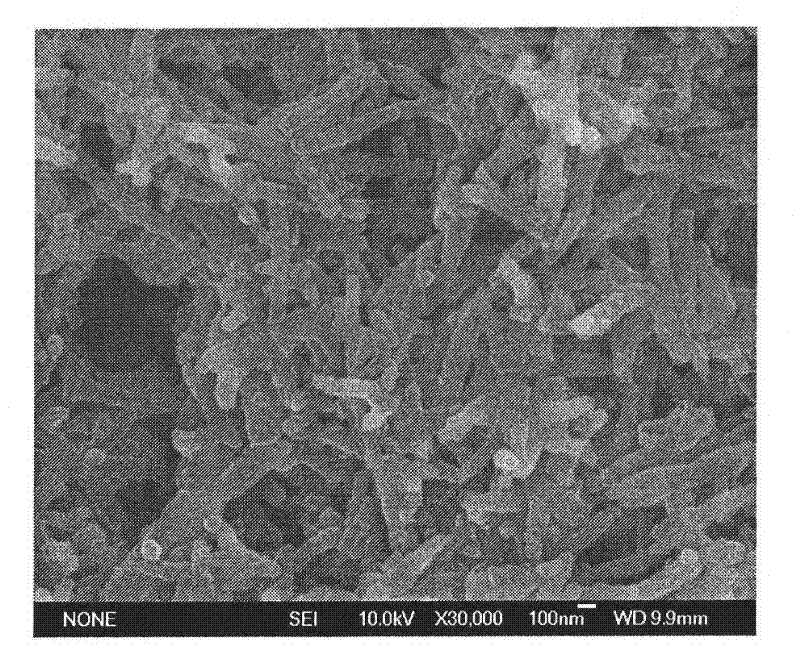 Preparation method of nano-fiber poly-aniline