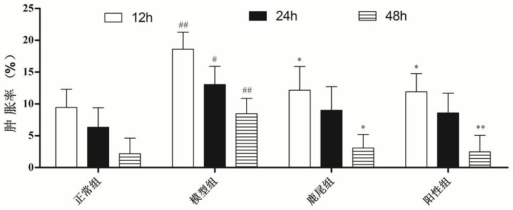 Application of deer tail in preparation of products for treating gout and hyperuricemia