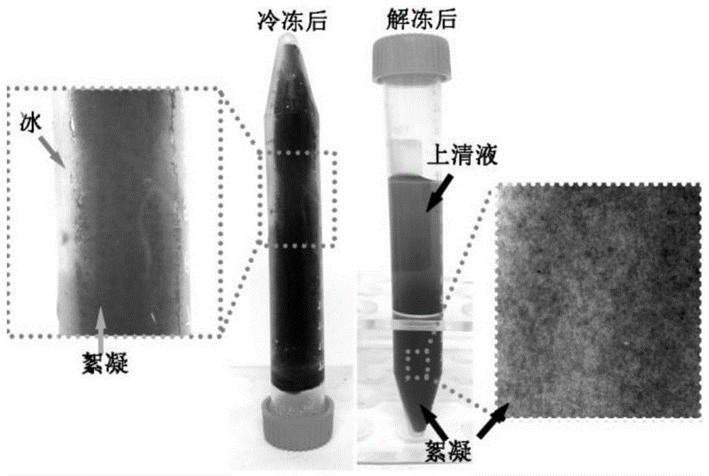 Method for concentrating and purifying graphene and graphene based composite material dispersion liquid