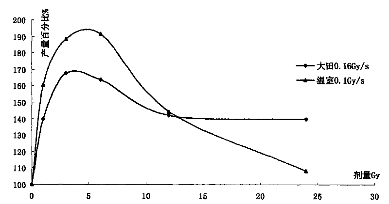 Potato production increasing method and device by treating potato seed using electron beam irradiation