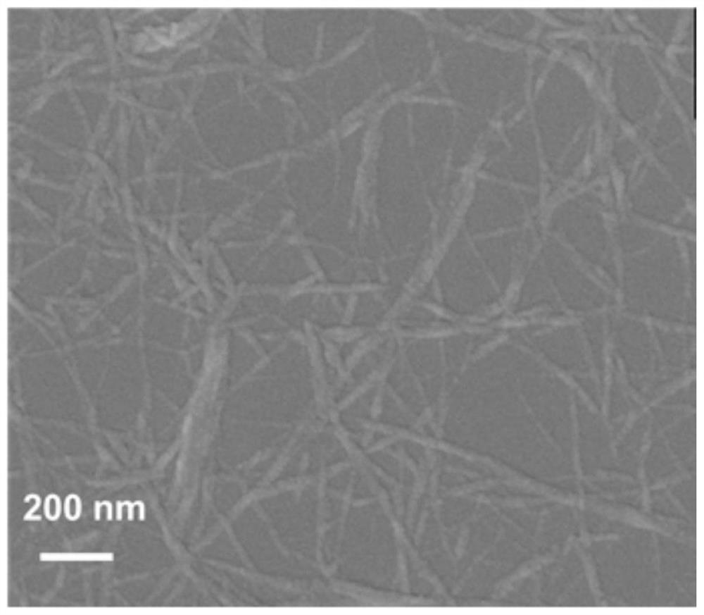 Plant-based cellulose nanofibril as well as preparation method and application thereof