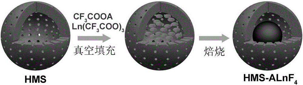 Rare-earth upconversion luminescent nanosphere having hollow core-shell structure as well as preparation method and use of nanosphere