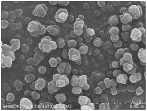 Preparation method of self-temperature-regulating water-based silicon-acrylic paint