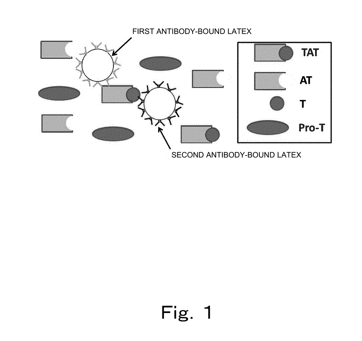 Reagent and method for measuring thrombin-antithrombin complex