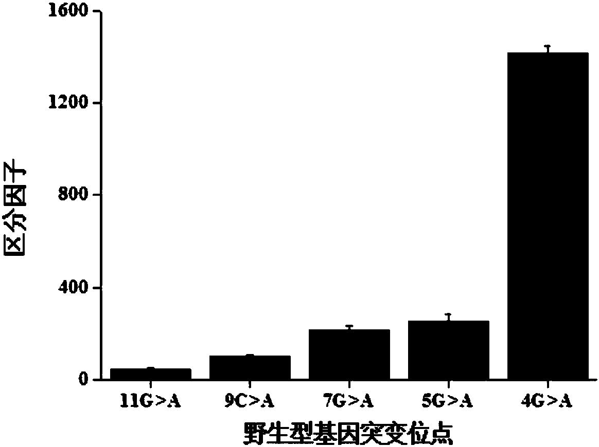 Method for detecting single-base mutation