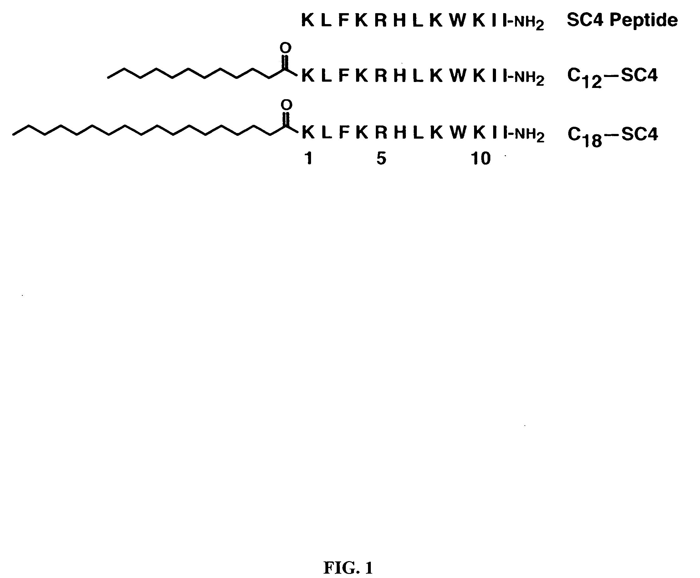 Modified polypeptides with therapeutic activity and methods of use
