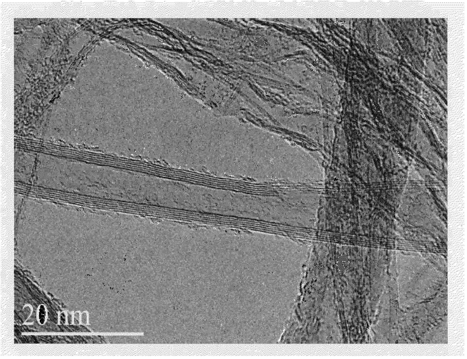 Cnt-infused fibers in thermoplastic matrices