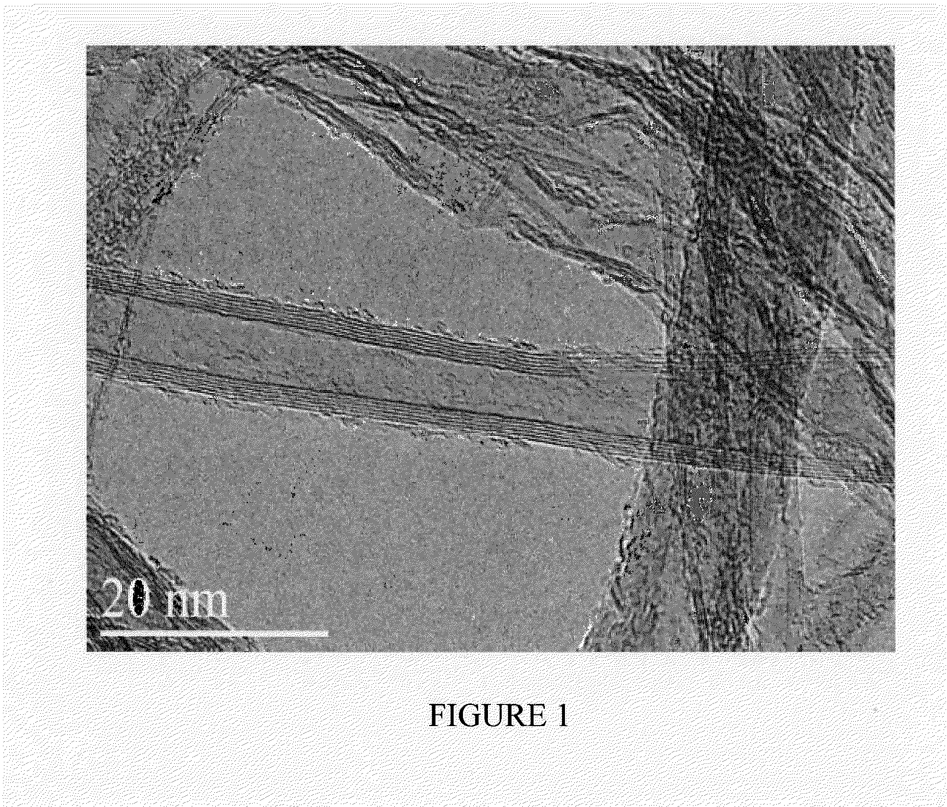 Cnt-infused fibers in thermoplastic matrices