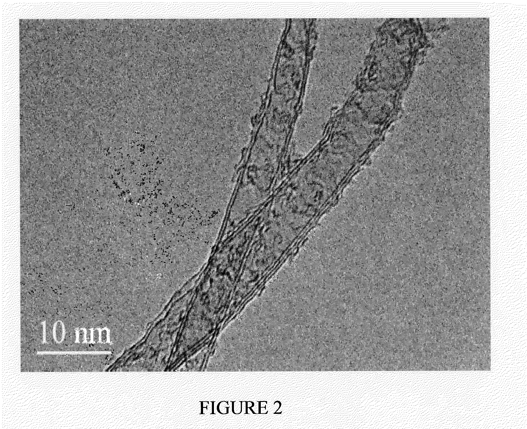 Cnt-infused fibers in thermoplastic matrices