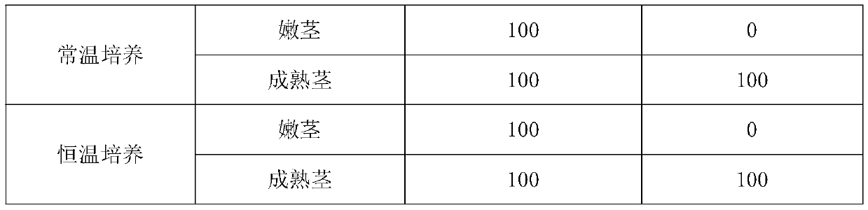 Method for rapidly breeding and preserving germplasm resources of Chinese yams