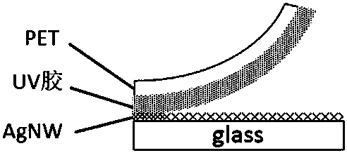 A preparation method of embedded multi-oriented metal nanowire transparent conductive film