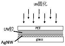 A preparation method of embedded multi-oriented metal nanowire transparent conductive film