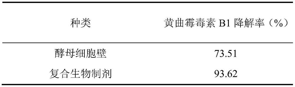 A kind of composite biological preparation and application thereof for controlling aflatoxin b1