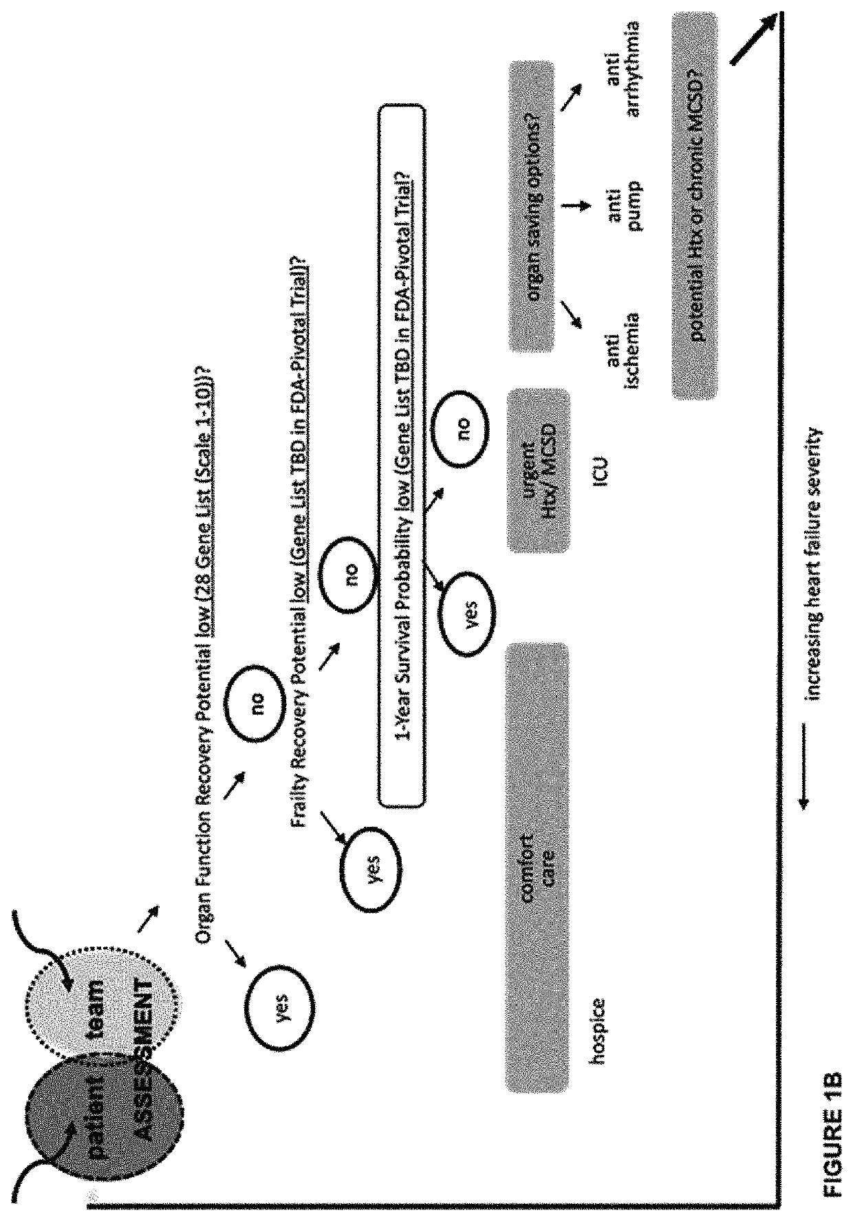 Assay for pre-operative prediction of organ function recovery