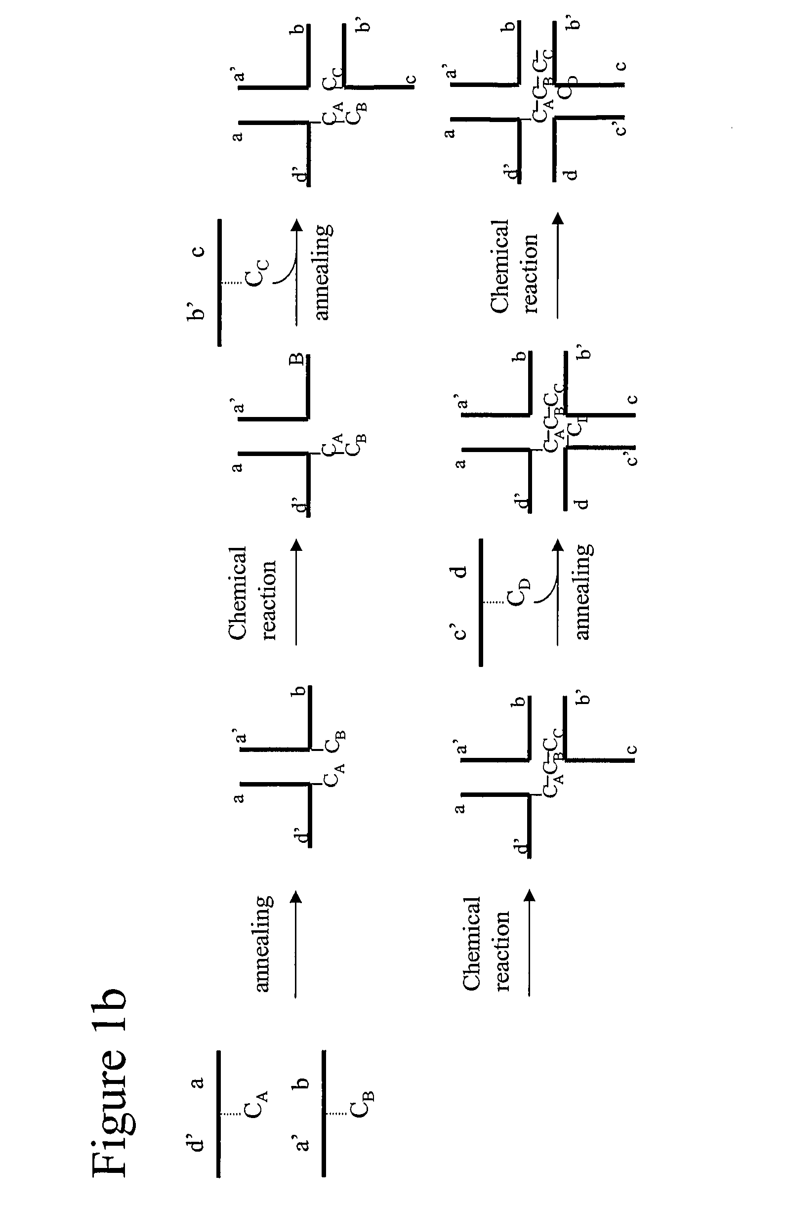 Structural nucleic acid guided chemical synthesis