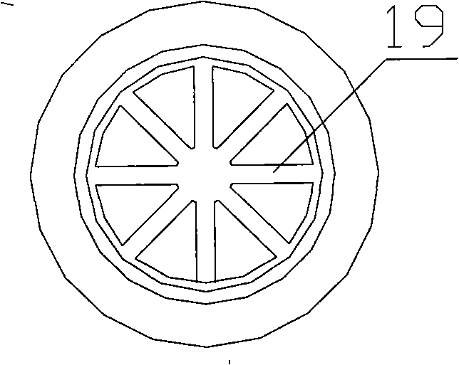 Screw rod injection type plant fibre steam blasting device and method