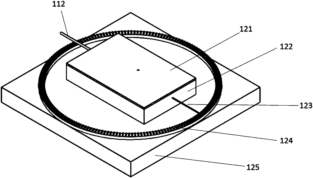 GaN-based semiconductor laser chip detecting device and method