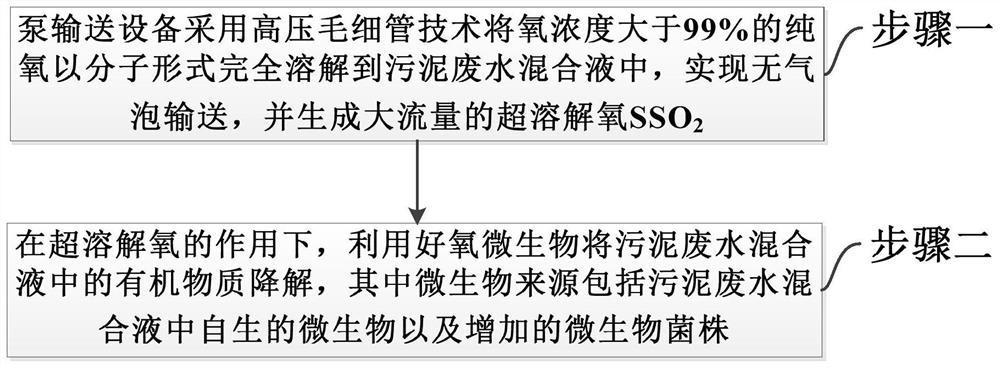 Sludge reduction method adopting combination of high-purity pure oxygen and microorganisms for treatment