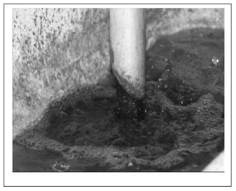 Sludge reduction method adopting combination of high-purity pure oxygen and microorganisms for treatment