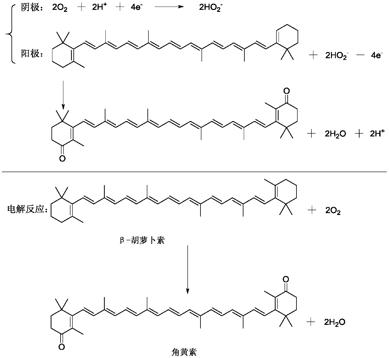 Method for preparing canthaxanthin by electrocatalytic oxygen-oxidized beta-carotene