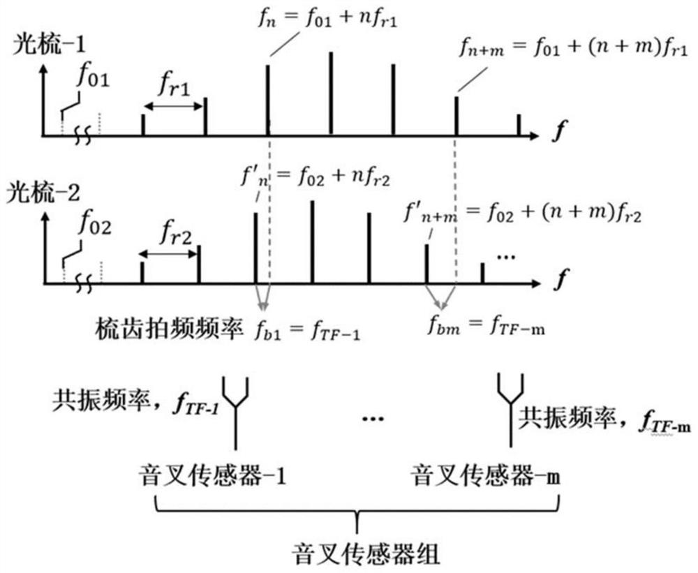 Tuning fork resonance enhanced double-optical comb multi-component gas detection system