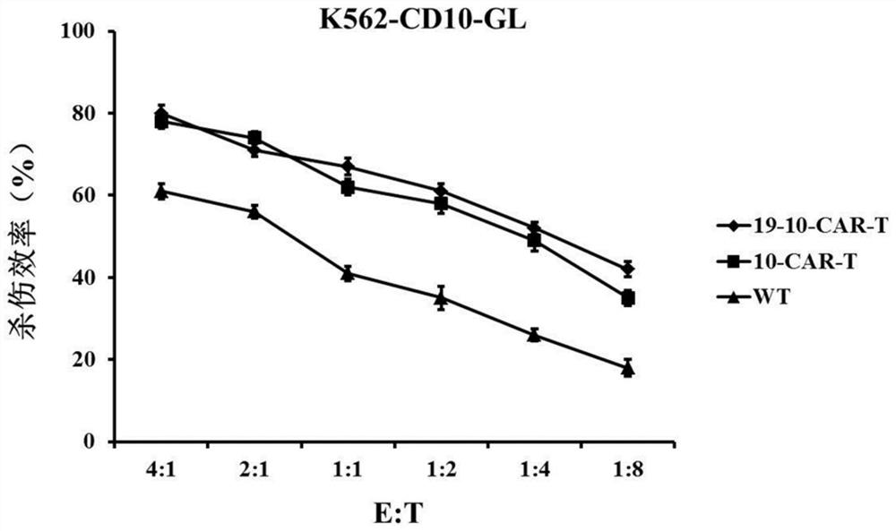 CD19 and CD10 double-target chimeric antigen receptor and application thereof