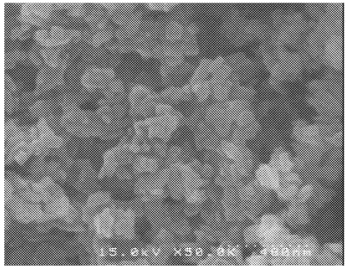 Positive electrode active material for lithium ion battery, method of producing the same, electrode for lithium ion battery, and lithium ion battery