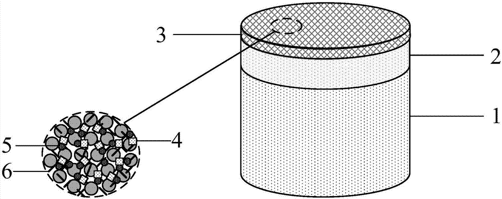 Composite sand fixation model, preparation method and applications of same