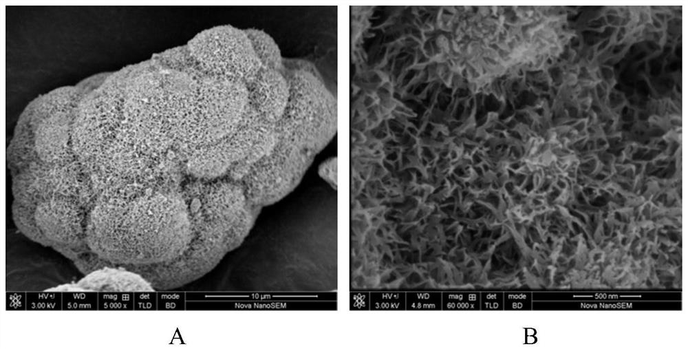 Catalyst for methane-hydrogen sulfide reforming hydrogen production process, and regeneration method thereof