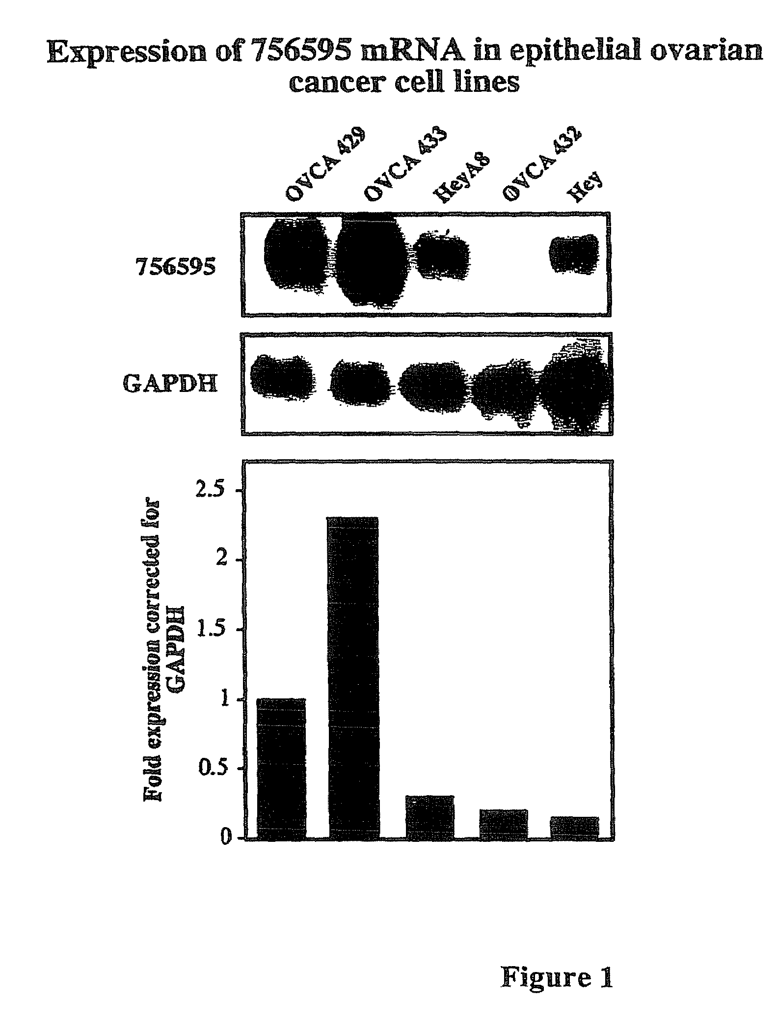 Methods for assessing cisplatin resistance, disease progression, and treatment efficacy in ovarian cancer